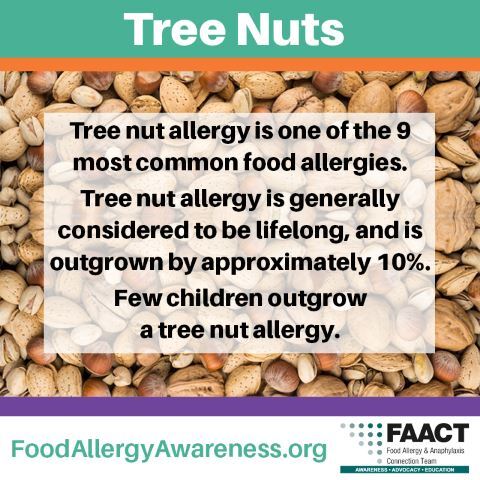 Tree nut allergen fact